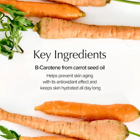 SKINFOOD Carrot Carotene Calming Water Pad Special Plus Bundle (60 pads + 30 pads) - Miinsecrets