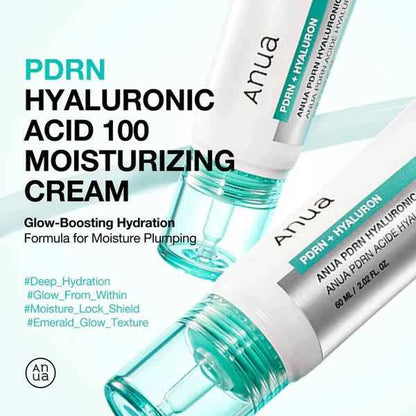 Anua - PDRN Hyaluronic Acid 100 Moisturizing Cream [60ml]